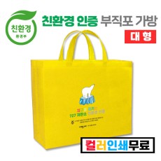 SSOL-005 부직포가방 (L)-컬러인쇄가능