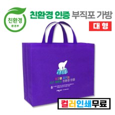 SSOL-009 부직포가방 (L)-컬러인쇄가능