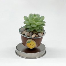 업사이클링) 미니 자석 화분 - 대